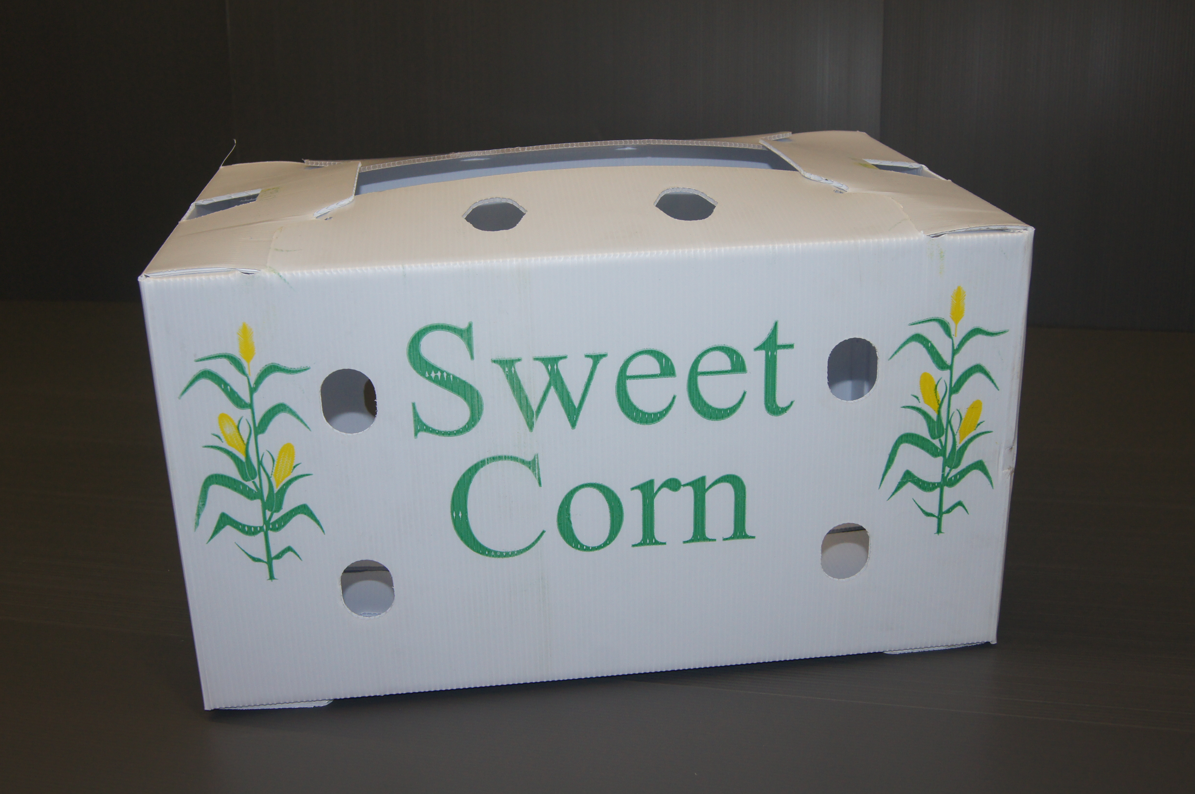 Main Product Image